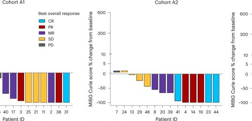 Lorlatinib found to be safe and effective for patients with ALK-driven relapsed/refractory high-risk neuroblastoma