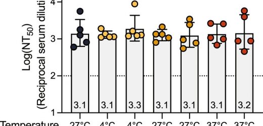 Low-cost COVID-19 vaccine could improve herd immunity around the world