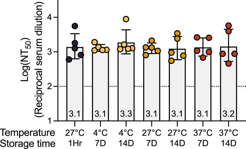 Low-cost COVID-19 vaccine could improve herd immunity around the world