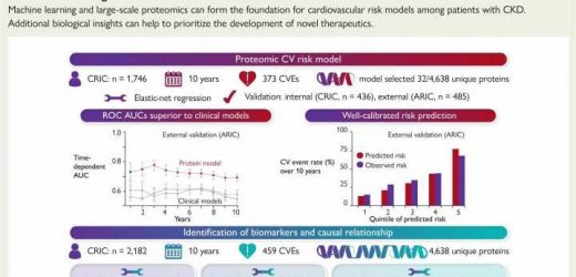 New model predicts cardiovascular risk among chronic kidney disease patients