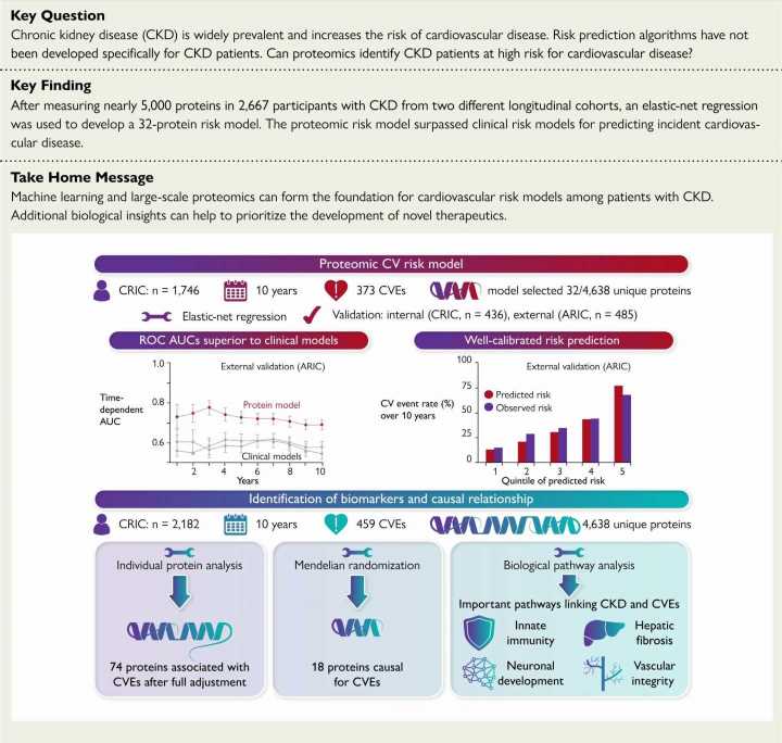 New model predicts cardiovascular risk among chronic kidney disease patients