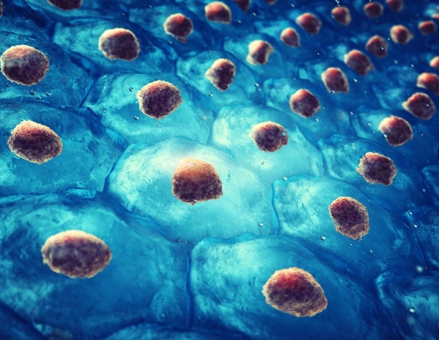 Novel approach promotes bone regeneration in mice without implantation