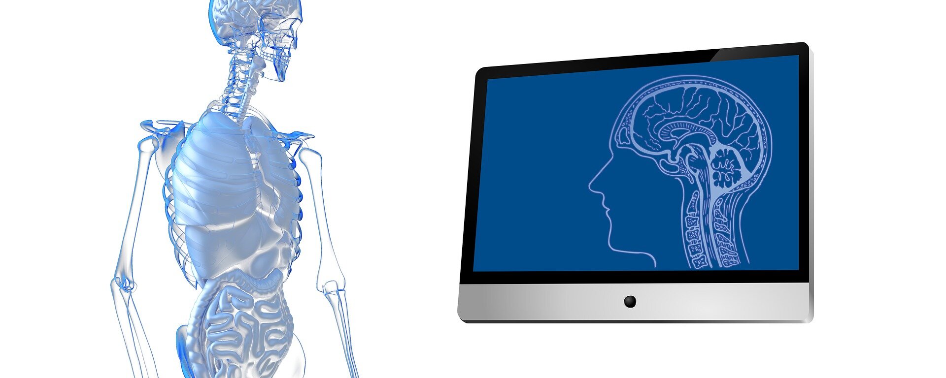 On nutrition: The gut-brain connection