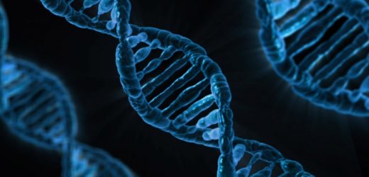 Researchers discover a novel genetic disorder associated with neurodevelopmental differences