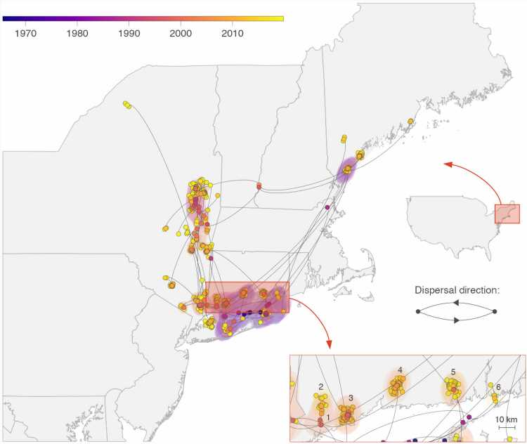 Tick-borne Powassan virus is being transmitted in concentrated clusters in New England, study says