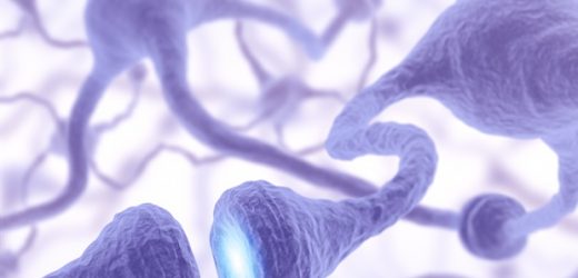 UQ research could lead to viable treatments for motor neuron disease