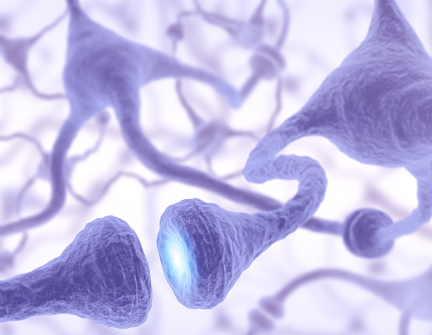 UQ research could lead to viable treatments for motor neuron disease