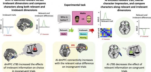 A neural pathway involved in separating and selectively sorting through social information