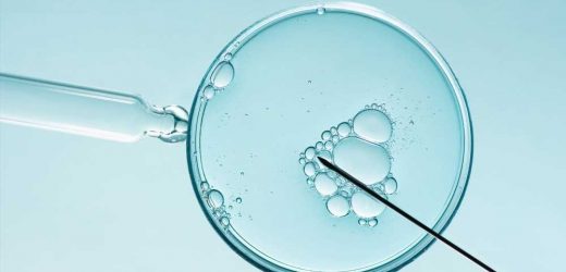 Artificial intelligence in sperm selection for assisted reproduction