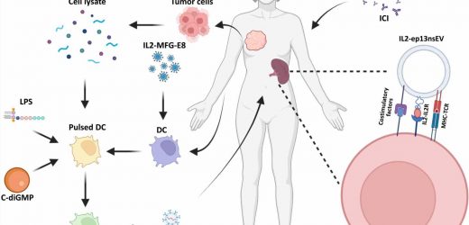 Bioengineering active immunotherapy for personalized cancer treatment