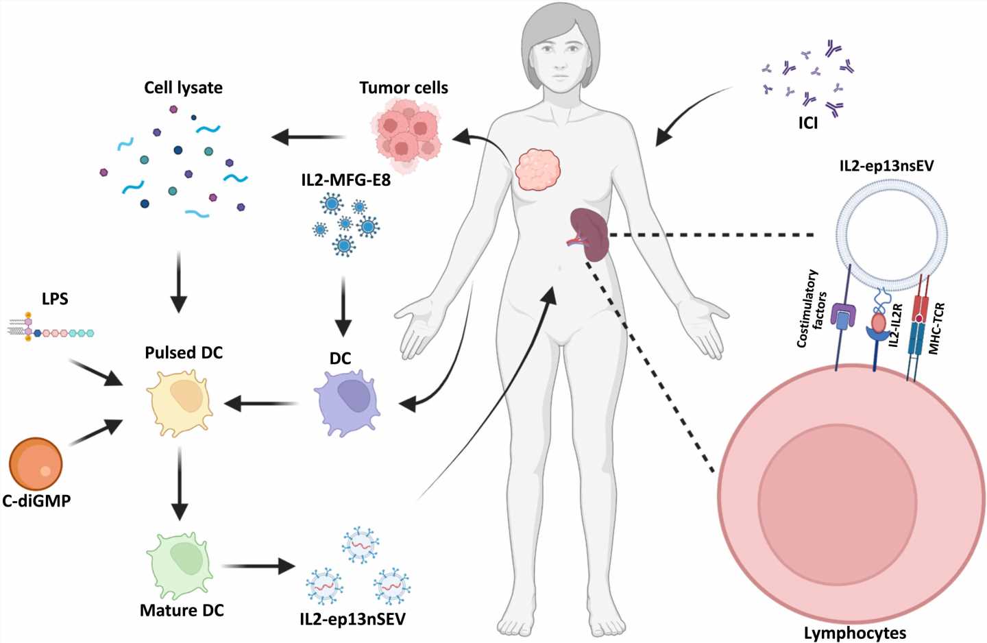 Bioengineering active immunotherapy for personalized cancer treatment