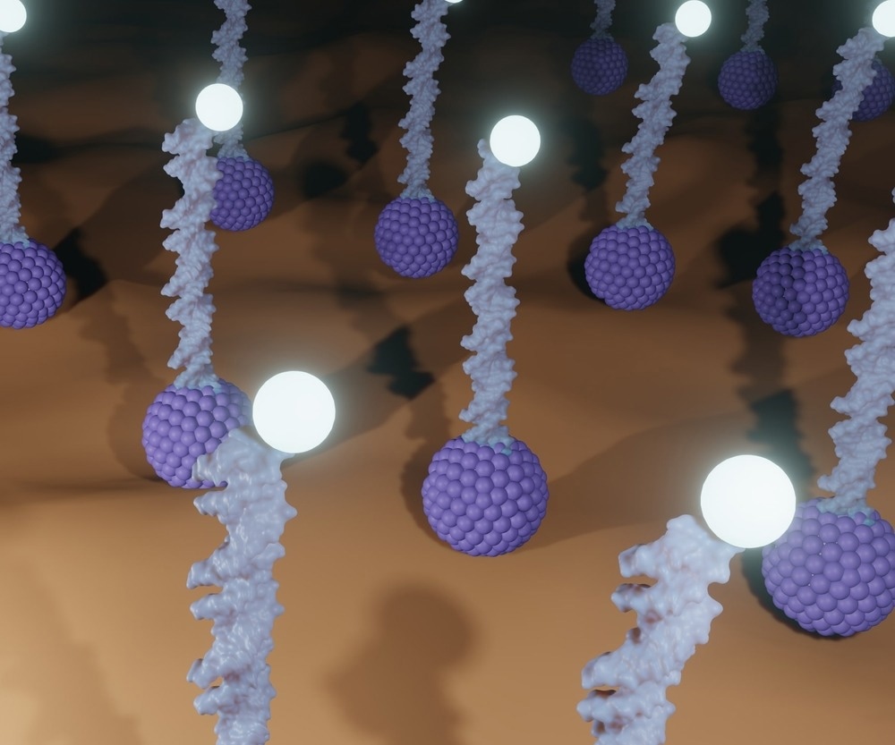 Biosensor Versatility; From Analytical Chemistry to Diagnostics