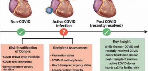 Heart donors with COVID-19 found to confer higher mortality risk to those receiving new hearts