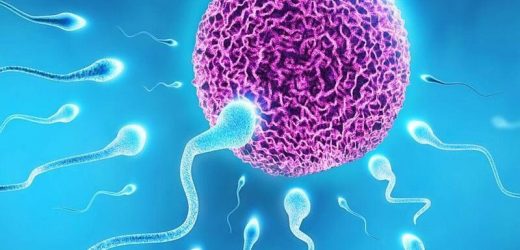 Infertility in men and women: Causes and treatments