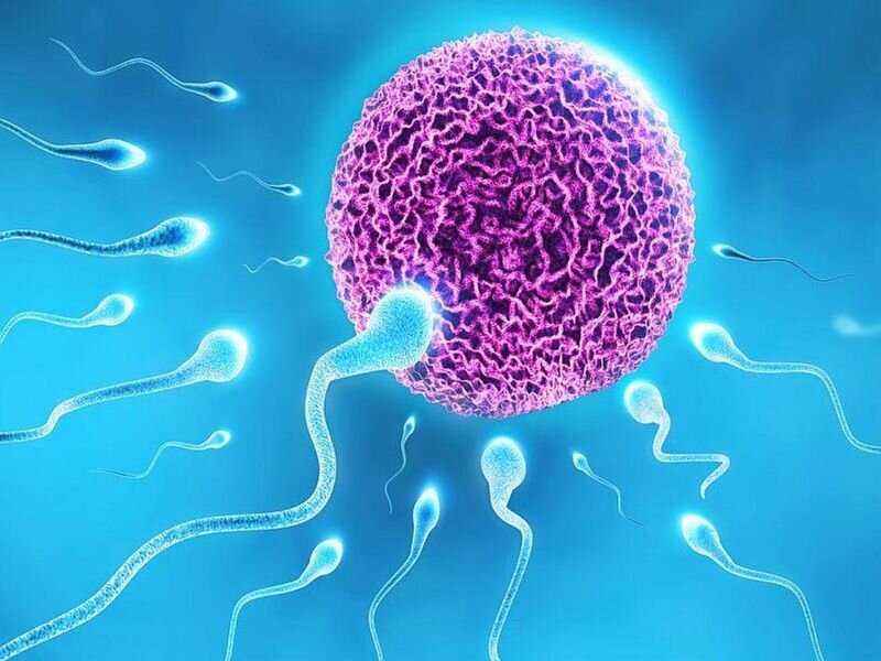 Infertility in men and women: Causes and treatments