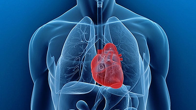 Lowering Cholesterol in Patients With Cardiovascular Disease
