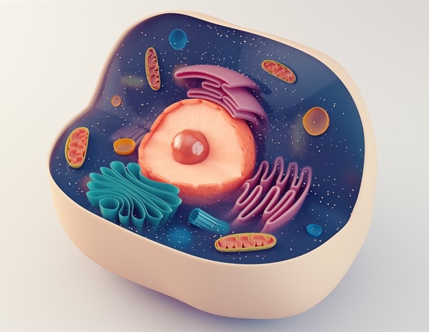 New SNAP approach to customizing T cell-based immunotherapies