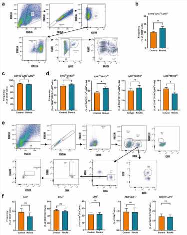 New immunotherapy targeting tumor macrophages to tackle lung cancer