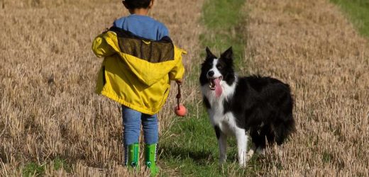 Pediatric IBD risk linked to antibiotics, Western diet and higher family income