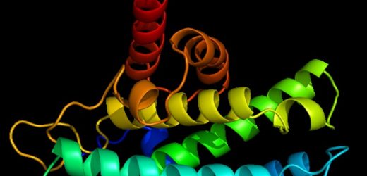 Penn State researchers create first protein-based nano-computing agent