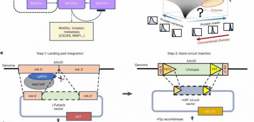 Rethinking the protein inhibitor approach to cancer therapy