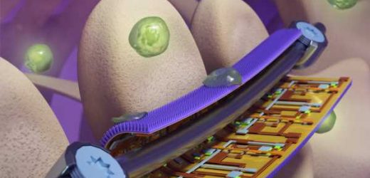 Smart surgical implant coatings provide early failure warning while preventing infection