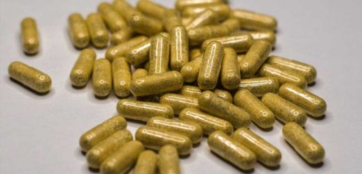 Studying the bodys opioid system could reduce side effects of opioid drugs