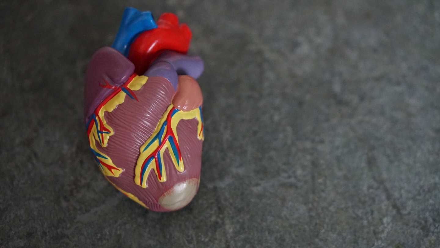 Transcatheter aortic valve replacement system improves clinician deliverability, tracking and deployment