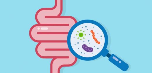 Viruses in the guts of centenarians may help them resist pathogens