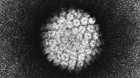 Cancer experts warn about wave of HPV-related cancers in adults