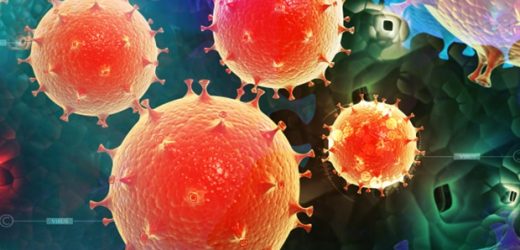 Commercially available tests to identify Candida auris susceptibility perform poorly