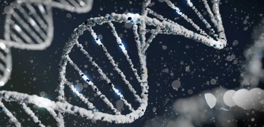 Diagnosis of rare, genetic muscle disease improved by new approach