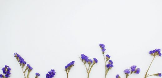 Did You Know Chicory Root Has All These Health Benefits?