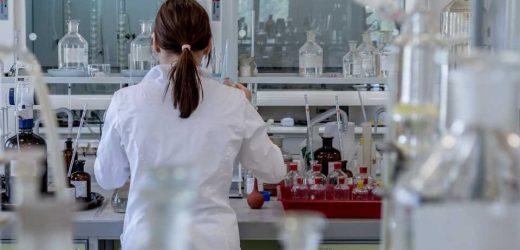 Hairy findings: chemicals study jolts French senators