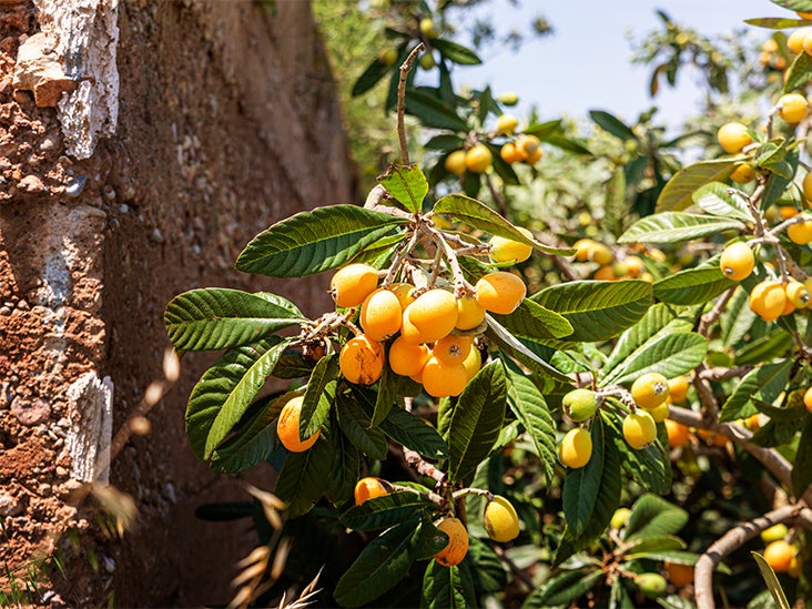 Hypertension: 'Ume' juice may help lower cardiovascular disease risk