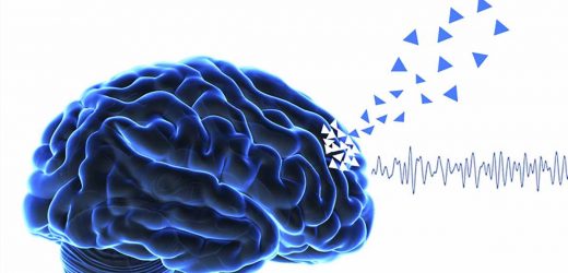 Presence hallucinations: An early predictor of cognitive decline in Parkinsons disease
