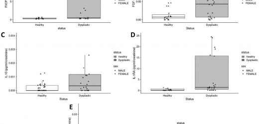 Researchers unlock predictive biomarkers for common hip disorder