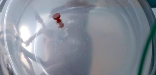 Spanish researchers aim to 'trick nature' with artificial womb