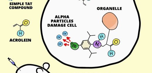 Team reports on development of potential new generic treatment for multiple types of cancer