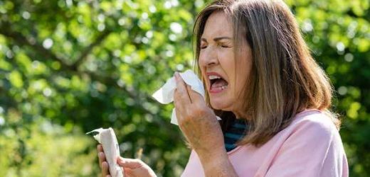The best and worst UK parks to visit this summer if you suffer with hay fever