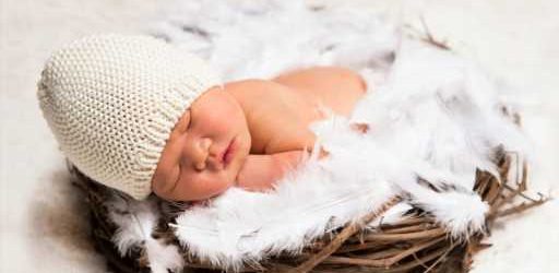 These Bird-Inspired Baby Names Are Perfect for Your Littlest Peeps