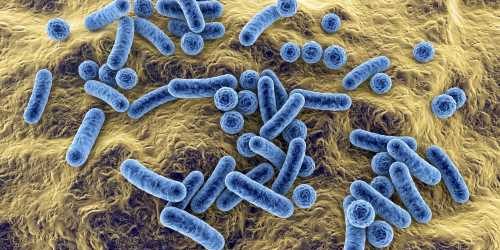 Trends in the prevalence of hospital-associated infections caused by high-priority pathogens