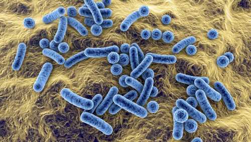 Trends in the prevalence of hospital-associated infections caused by high-priority pathogens