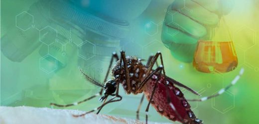 Yellow fever: examining potential burden on vaccine strategy