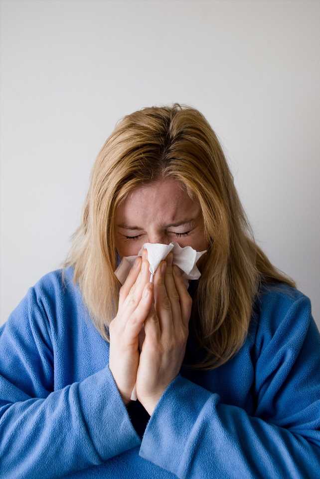 Flu during pregnancy may lead to changes in offsprings immune function