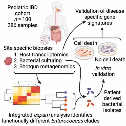 Identifying the role of the microbiome in inflammatory bowel disease