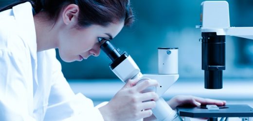 New reference database Greengenes2 improves reproducibility of microbiome studies
