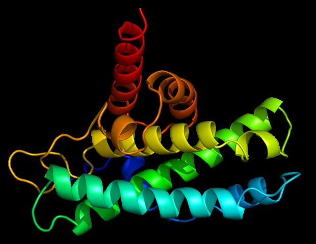 New study reveals how lung tumors develop drug resistance