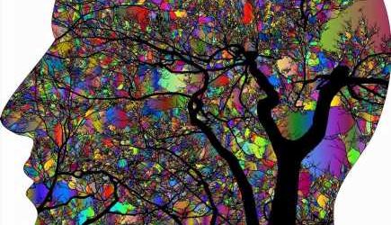 Psychedelics: What they are, how they work, and why you need to know about them