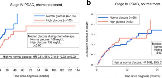 Study finds high blood glucose levels sensitizes pancreatic cancer cells to chemotherapy